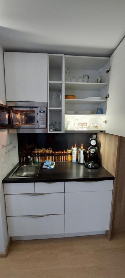 Appartements Am Schillergarten Dresda Esterno foto