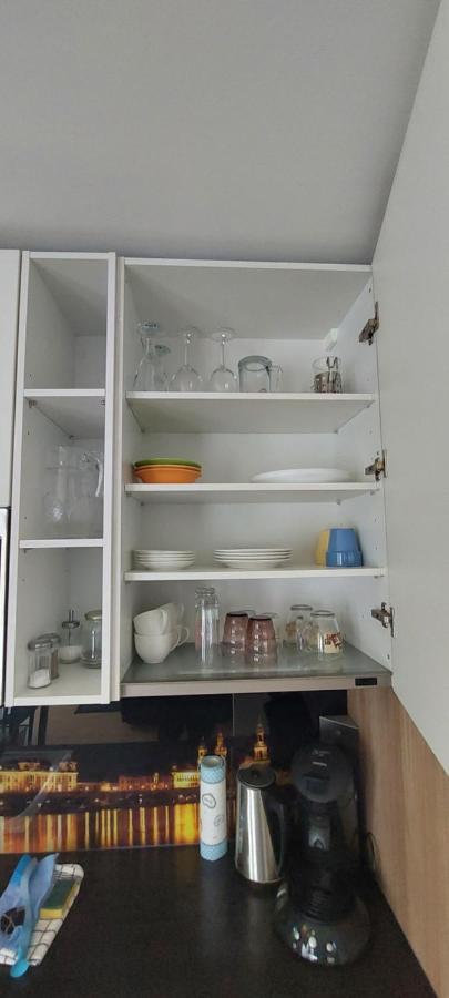 Appartements Am Schillergarten Dresda Esterno foto